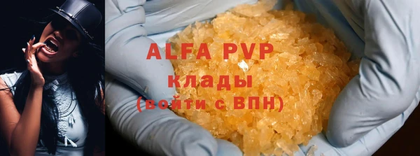 прущие грибы Козловка