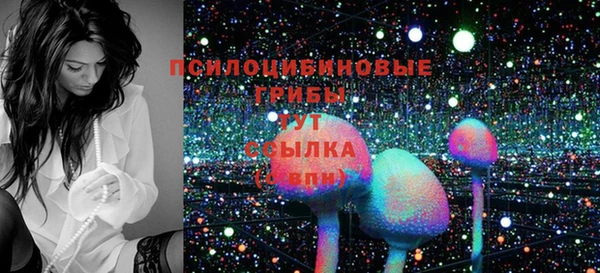 молекула духа Красноперекопск