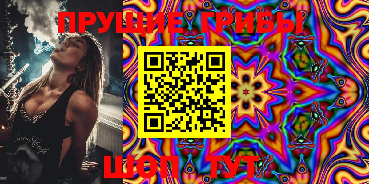 наркотики  Псилоцибиновые грибы Cubensis  Псилоцибиновые грибы Magic Shrooms  Вход с VPN  Котовск 